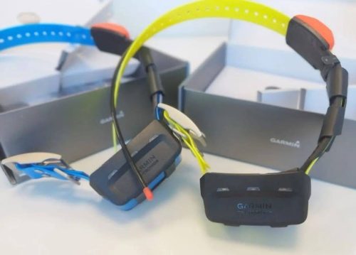 Collar Garmin T5 y perros de caza