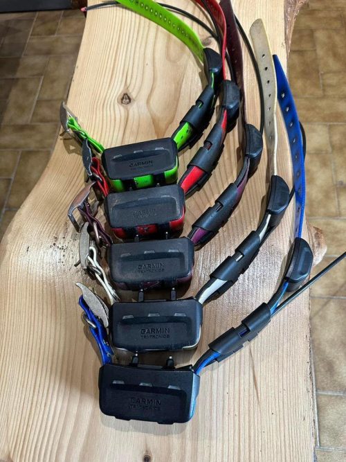 Lote de 05 collares Garmin TT15 – Seguimiento y adiestramiento