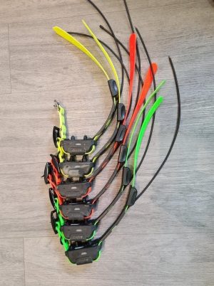 Lote de 6 collares Dogtra Pathfinder (SEGUNDA MANO)