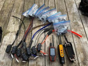 Pack Garmin Astro 320 con 7 collares TT15