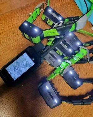 Garmin Alpha 200 + 7 collares TT15 | Gestión de jauría