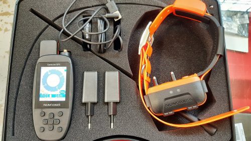 Pack Canicom GPS 2 (1 mando a distancia + 1 collar)