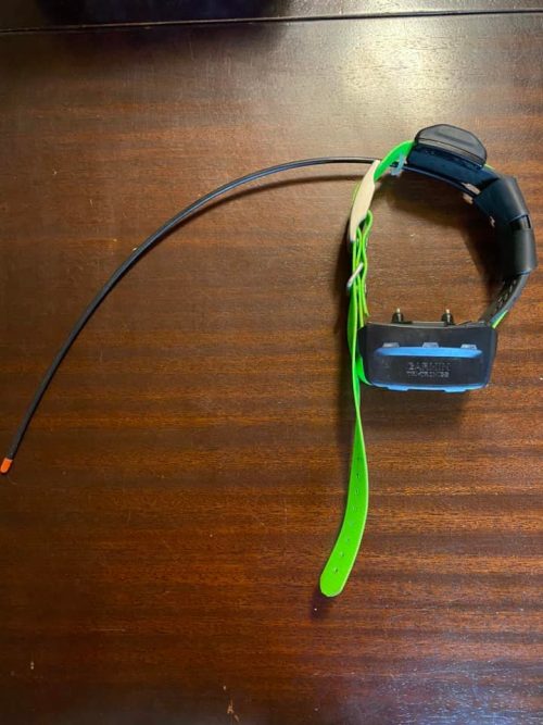 Pack Garmin Alpha 200 + collar TT15 | Localización y adiestramiento