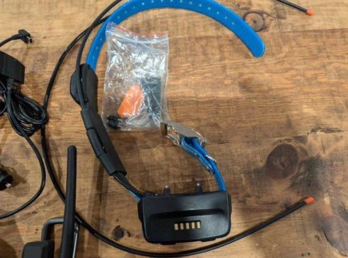 Pack Garmin Alpha 10 + collar TT15