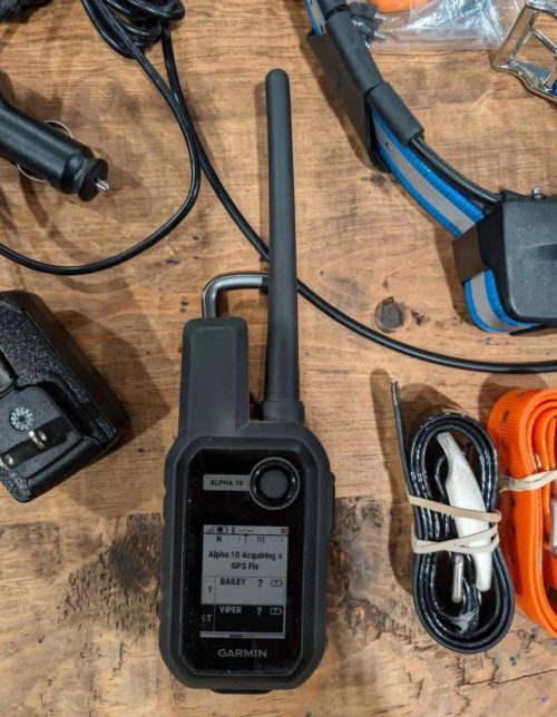 Pack Garmin Alpha 10 + collar TT15