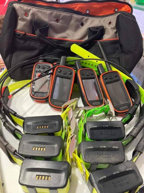 Pack Garmin: Mando a distancia Alpha 100 + Collar TT15 + Collar T5