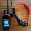 Pack Garmin Alpha 100 + collar TT15 Mini