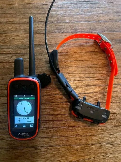 Pack Garmin Alpha 100 + collar TT15 Mini