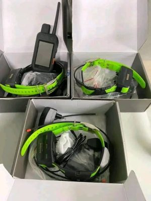 Pack Garmin: Mando a distancia Alpha 300 y 03 collares TT15