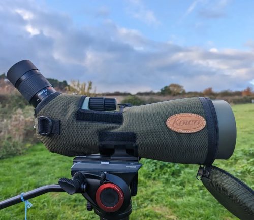 Conjunto de telescopio terrestre Kowa TSN-883 + TE-11WZ + C-881 (SEGUNDA MANO)