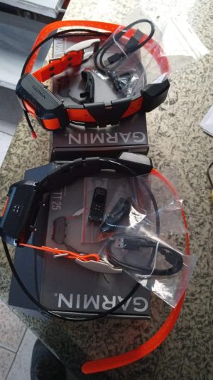 Lote de 2 collares Garmin TT25 | Seguimiento y adiestramiento de precisión