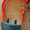 SportDOG Brand SportTrainer 1275E (DE SEGUNDA MANO)