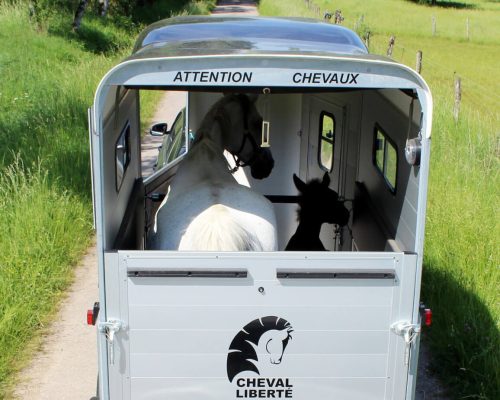 Van Touring One ½ Cheval Liberté