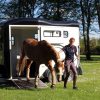 Van Touring One ½ Cheval Liberté