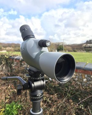 Telescopio terrestre Vortex Razor HD 11-33x50