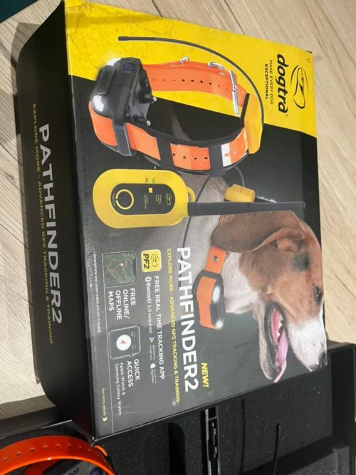Pack Dogtra Pathfinder 2 (Conector + collar)