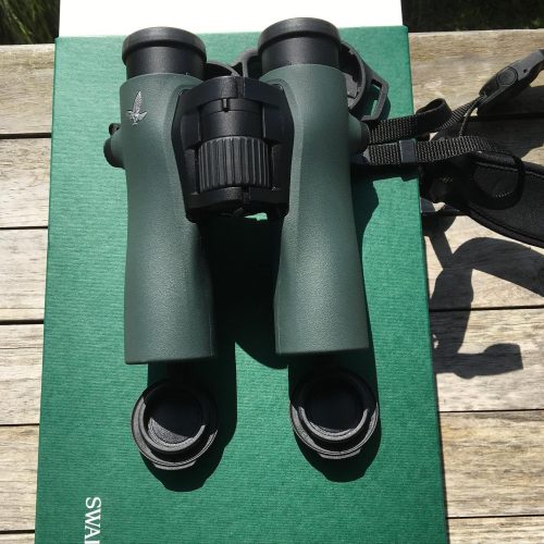 swarovskioptik_birding-NL-Pure-10x32-b.jpg Prismáticos SWAROVSKI OPTIK NL PURE 10x32 (DE SEGUNDA MANO)