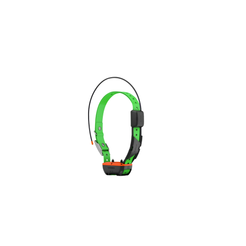 Mando Garmin Alpha 200i + Collar Garmin TT25 Nuevo para Perros de Caza | Seguimiento GPS
